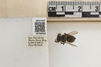 Media type: image;   Entomology 789963 Aspect: Labels